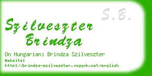 szilveszter brindza business card